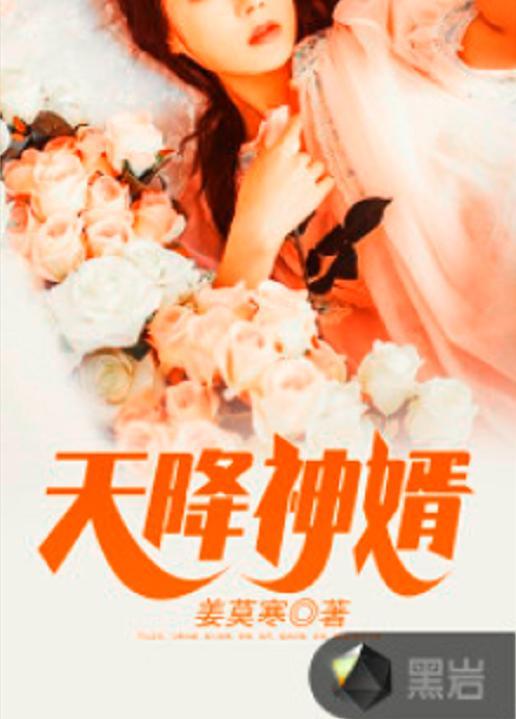 天降丐婿,逆境逆袭，谱写传奇人生