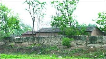 花园墙外,探寻未知世界的奇妙之旅