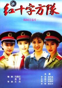 红十字方队,人道主义精神的守护者