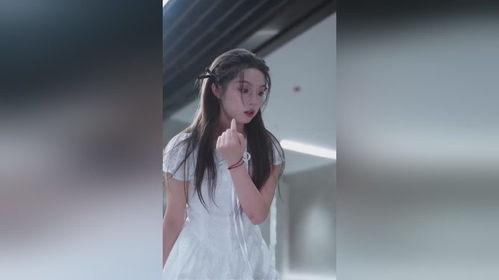 养宠系统，你绑定我老板干什么,养宠系统背后的老板绑定之谜